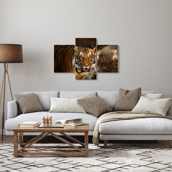 Tigris képe (90x60 cm)