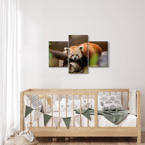 Vörös panda képe (90x60 cm)