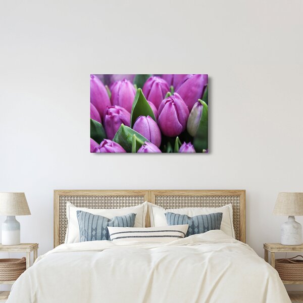 Kép - tulipánok (90x60 cm)