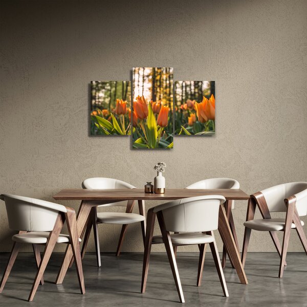 Kép - tulipánok (90x60 cm)