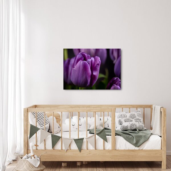 Tulipán vírág képe (70x50 cm)