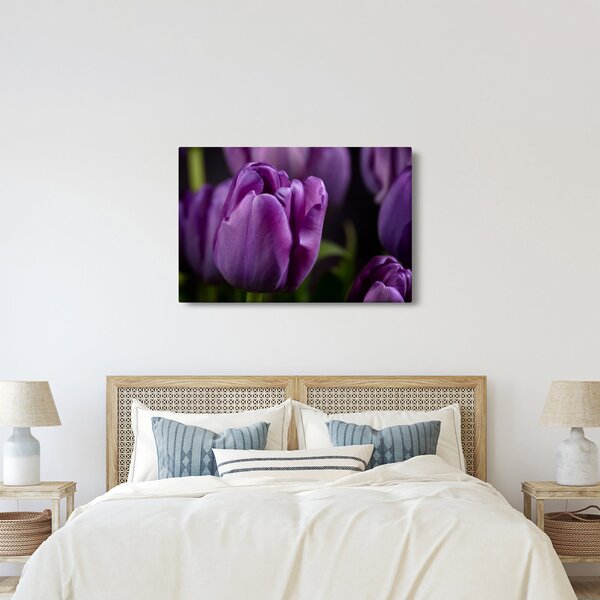 Tulipán vírág képe (90x60 cm)