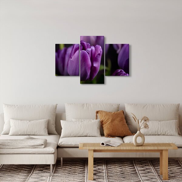 Tulipán vírág képe (90x60 cm)