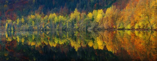 Művészeti fotózás Autumnal silence, Burger Jochen, (60 x 23.2 cm)