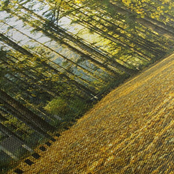 Kép - erdő ősszel (90x60 cm)