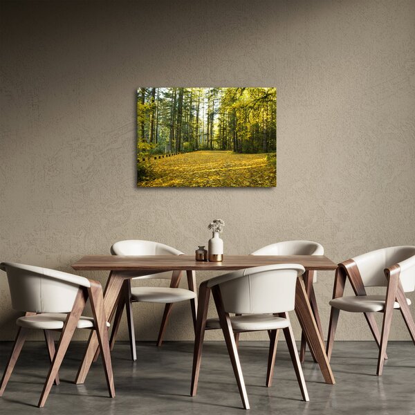 Kép - erdő ősszel (70x50 cm)