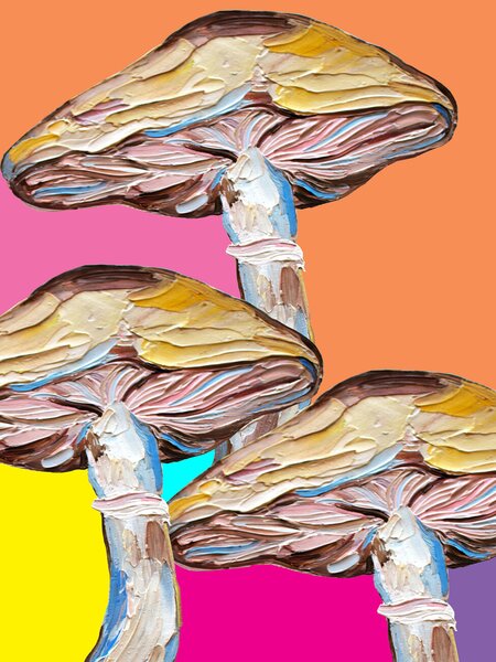 Illusztráció Psychedelic Mushrooms, Alice Straker, (30 x 40 cm)