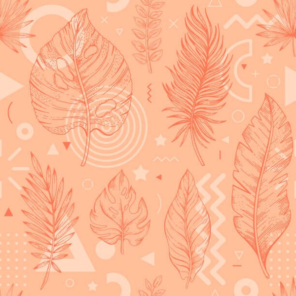 Művészeti fotózás 2024 peach palm leaf color pattern., o-che, (40 x 40 cm)