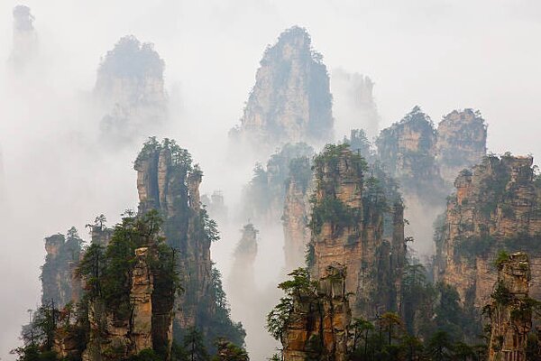 Fotográfia China, Hunan, Zhangjijie, Mount Tianzi in fog, Peter Adams, (40 x 26.7 cm)