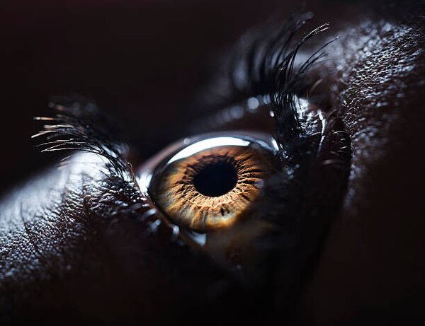 Fotográfia The Human Eye., Ben Welsh, (40 x 30 cm)