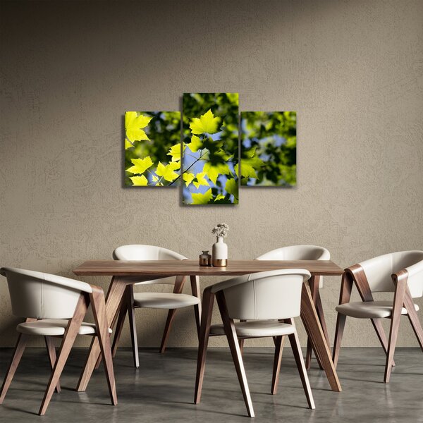 Kép - juhar levelek (90x60 cm)