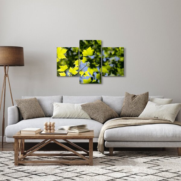 Kép - juhar levelek (90x60 cm)