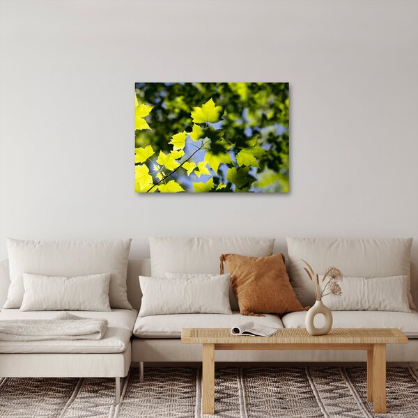 Kép - juhar levelek (70x50 cm)
