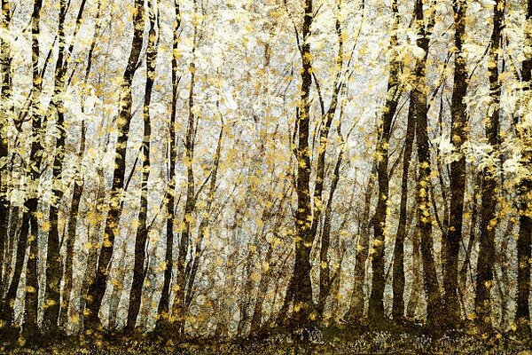 Illusztráció Forest filed with golden autumn leaves, Andrew Bret Wallis, (40 x 26.7 cm)