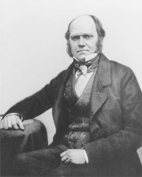 Fotográfia Portrait of Charles Darwin, 1854, English Photographer