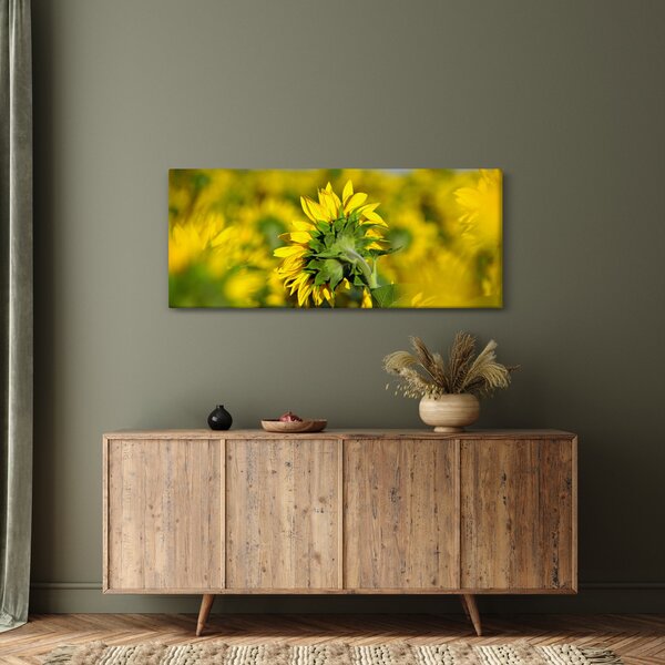 Napraforgó képe (120x50 cm)
