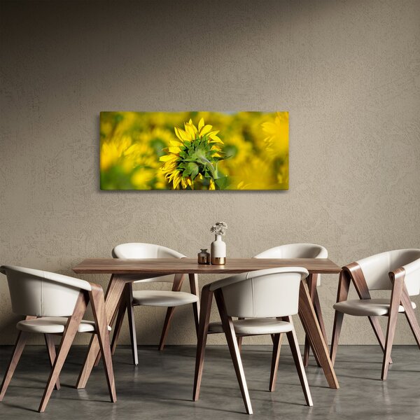 Napraforgó képe (120x50 cm)