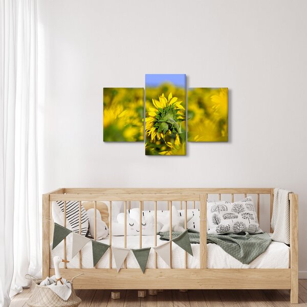 Napraforgó képe (90x60 cm)