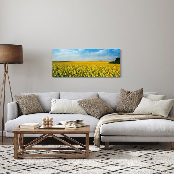 Kép - napraforgó (120x50 cm)