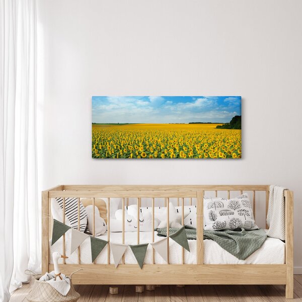 Kép - napraforgó (120x50 cm)