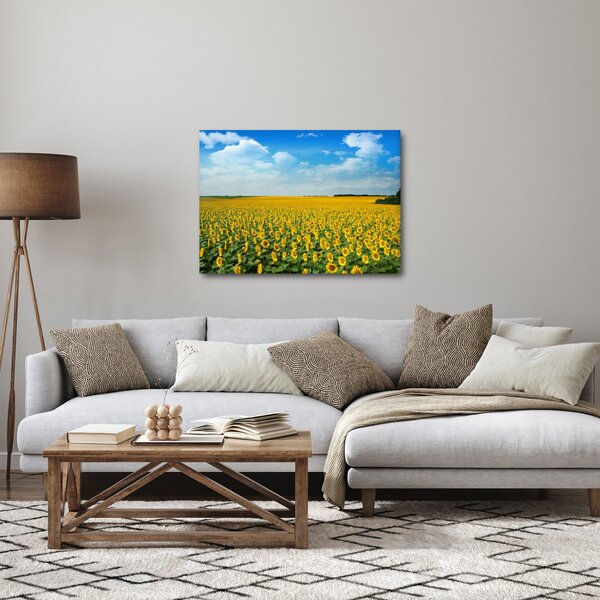 Kép - napraforgó (70x50 cm)