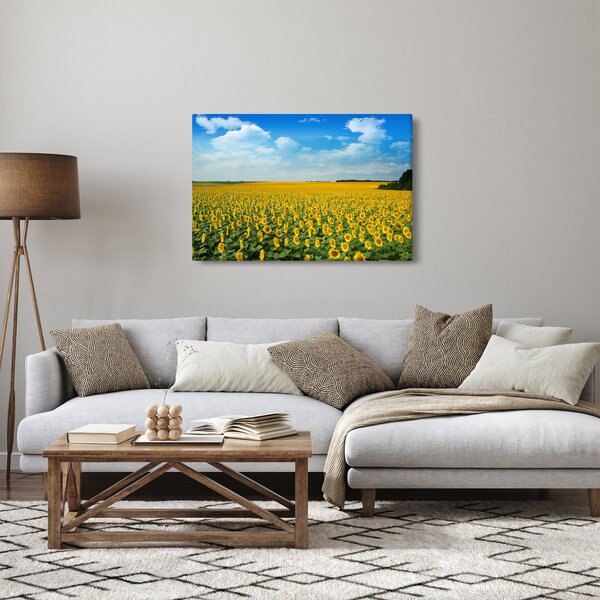 Kép - napraforgó (90x60 cm)