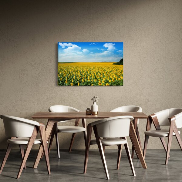 Kép - napraforgó (90x60 cm)