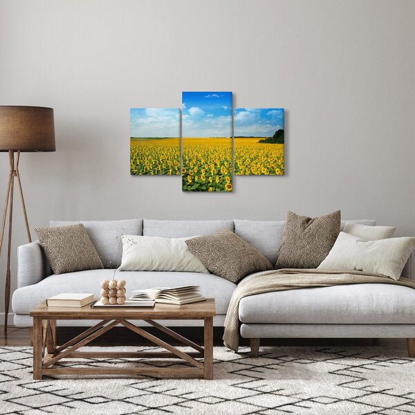 Kép - napraforgó (90x60 cm)