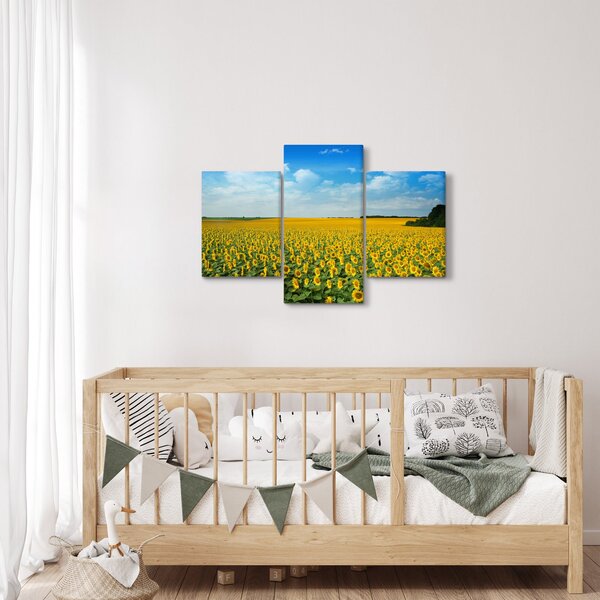 Kép - napraforgó (90x60 cm)