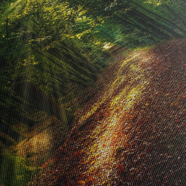 Erdei út képe (90x60 cm)