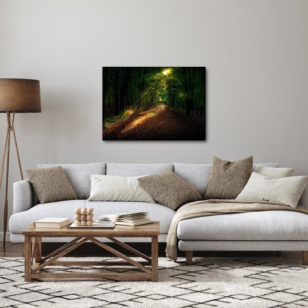 Erdei út képe (70x50 cm)