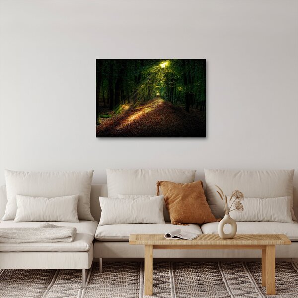 Erdei út képe (70x50 cm)