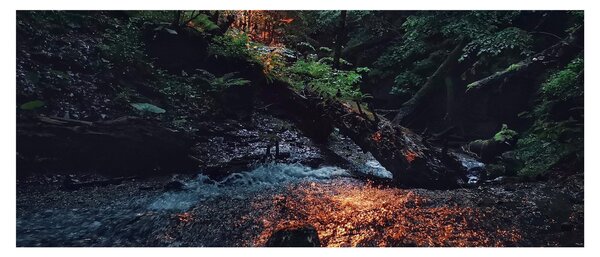 Hegyi folyó képe (120x50 cm)