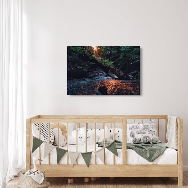 Hegyi folyó képe (90x60 cm)