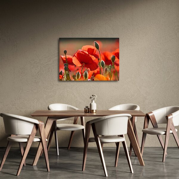 Pipacsok képe (70x50 cm)