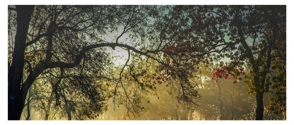 Napkelte képe (120x50 cm)
