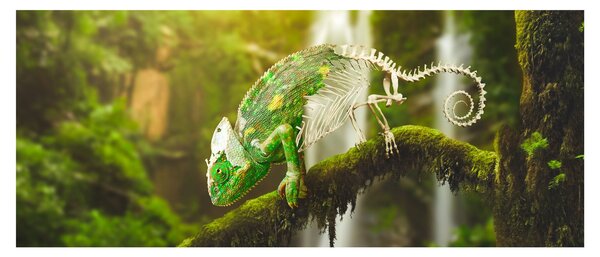 Gyík képe (120x50 cm)