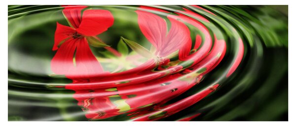 Absztrakt kép - virágok hullámokban (120x50 cm)