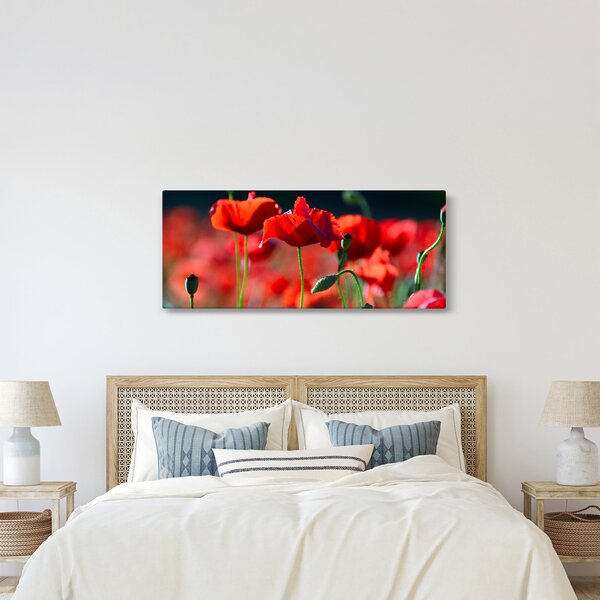 Kép - pipacsok (120x50 cm)