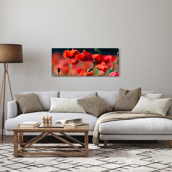 Kép - pipacsok (120x50 cm)