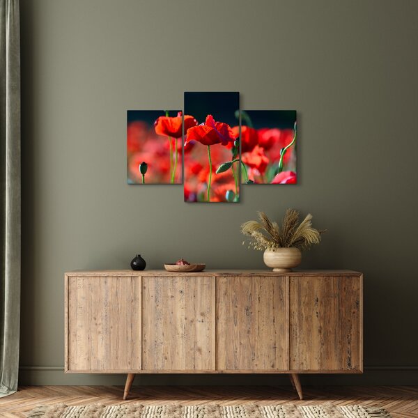 Kép - pipacsok (90x60 cm)