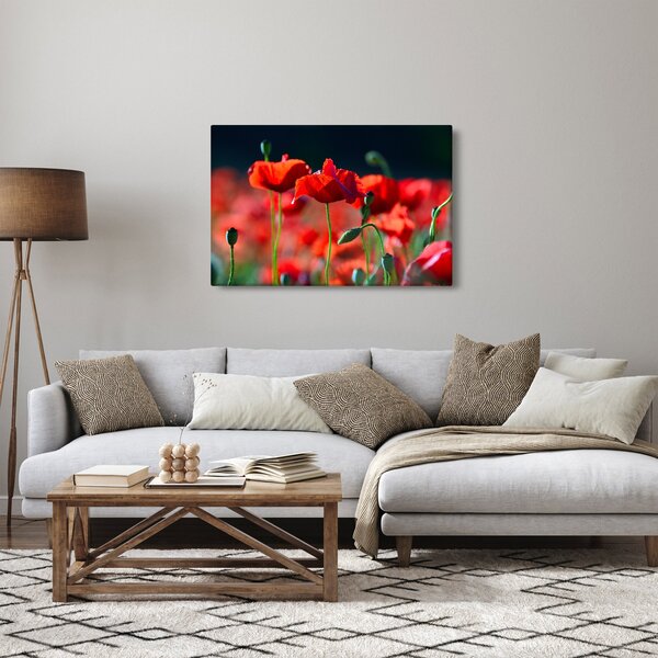 Kép - pipacsok (90x60 cm)