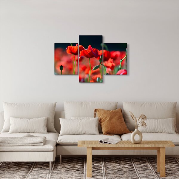 Kép - pipacsok (90x60 cm)