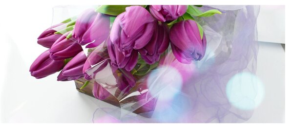 Kép - csokor tulipán (120x50 cm)
