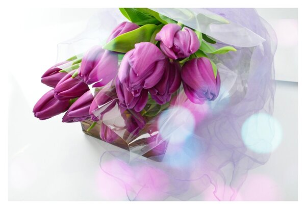 Kép - csokor tulipán (90x60 cm)