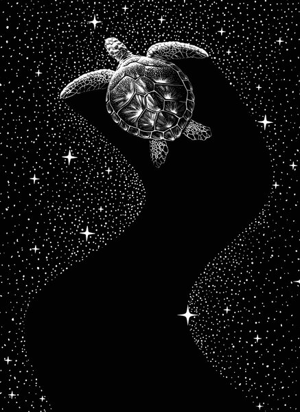 Illusztráció Starry Turtle, Aliriza Cakir, (30 x 40 cm)