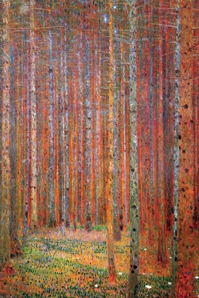 Plakát Fenyőerdő, (61 x 91.5 cm)