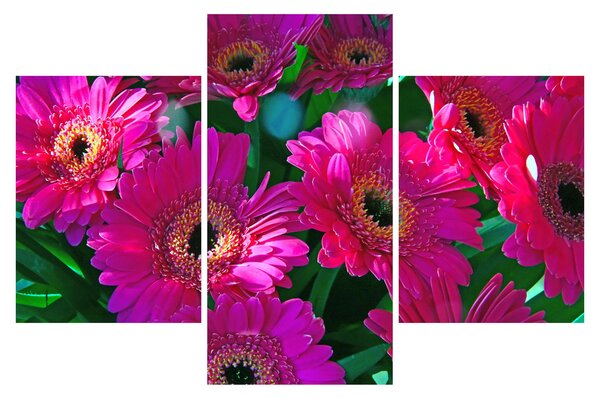Kép - virágok (90x60 cm)