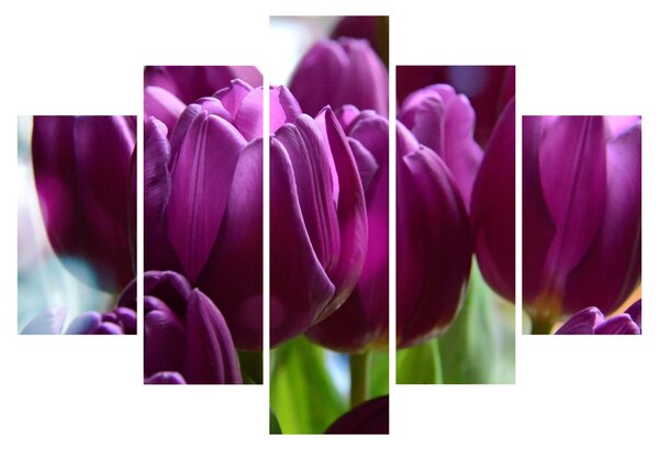 Tulipán képe (150x105 cm)