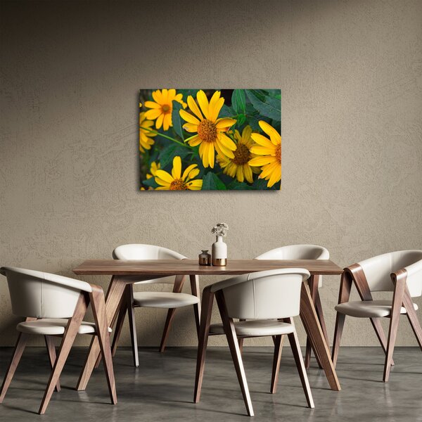 Sárga virágok képe (70x50 cm)